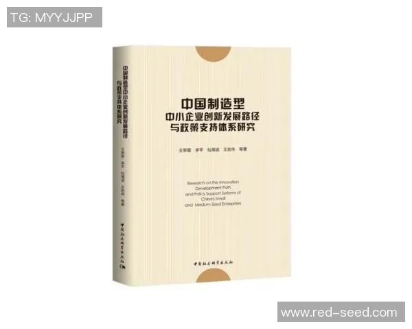 探索健康游戏的创新之路以替代无风险刺激的娱乐选择