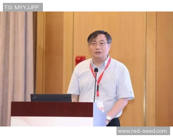 篮球运动损伤康复新技术的前沿探索与应用实践分享