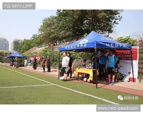 意大利队在友谊赛中以一球小胜捷克队展现强劲实力